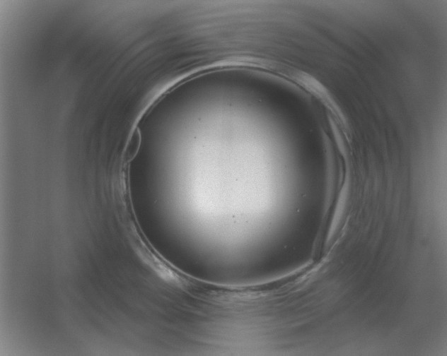 X0000054421292200508121741