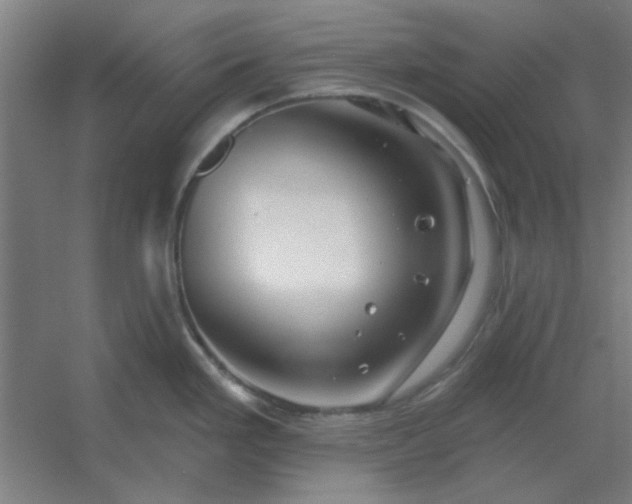 X0000054421293200508121741