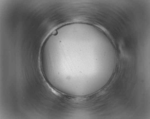 X0000054421294200508121741