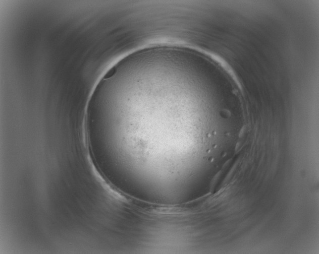 X0000054421295200508121741