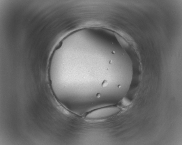 X0000054421296200508121741