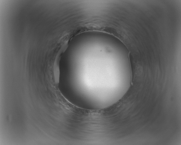 X0000054421297200508121741