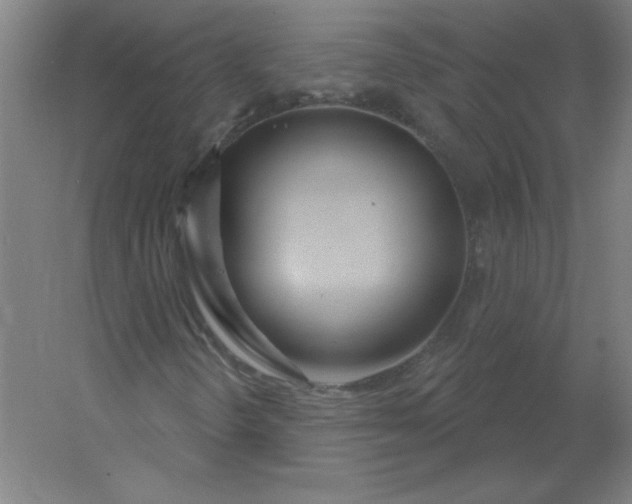 X0000054421298200508121741