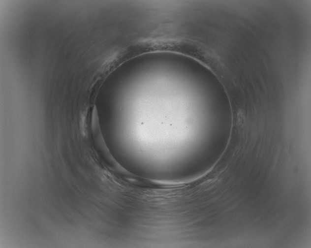 X0000054421300200508121741