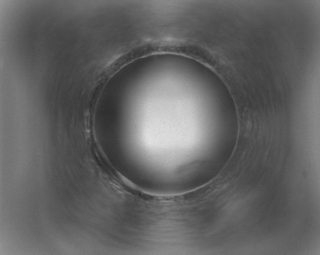 X0000054421301200508121741