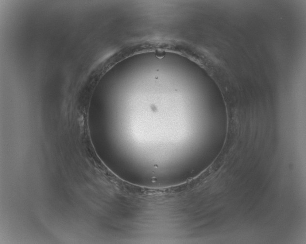 X0000054421302200508121741