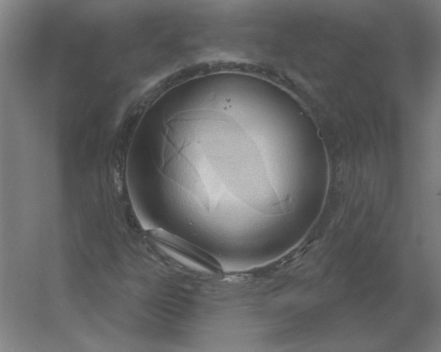 X0000054421303200508121741