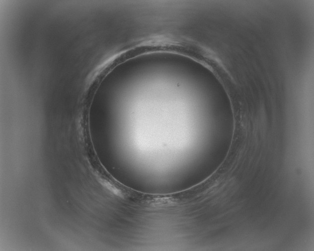 X0000054421304200508121741