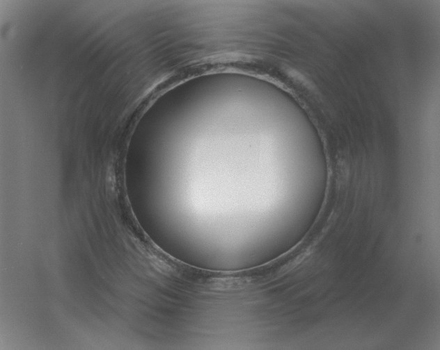 X0000054421305200508121741