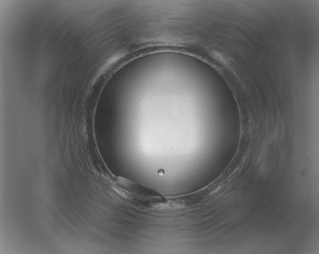 X0000054421307200508121741