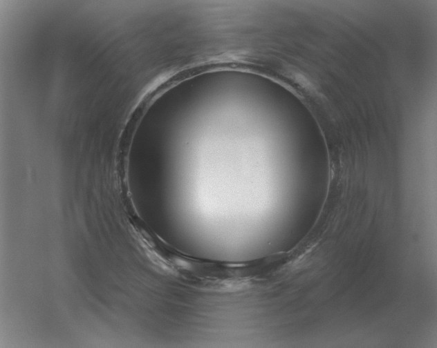 X0000054421308200508121741