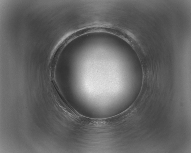 X0000054421310200508121741