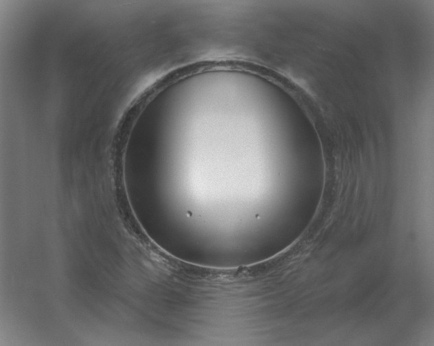 X0000054421311200508121741