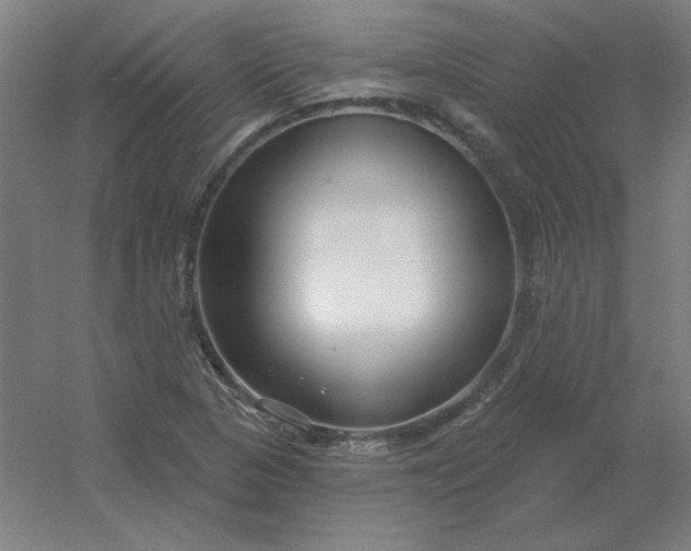 X0000054421313200508121741