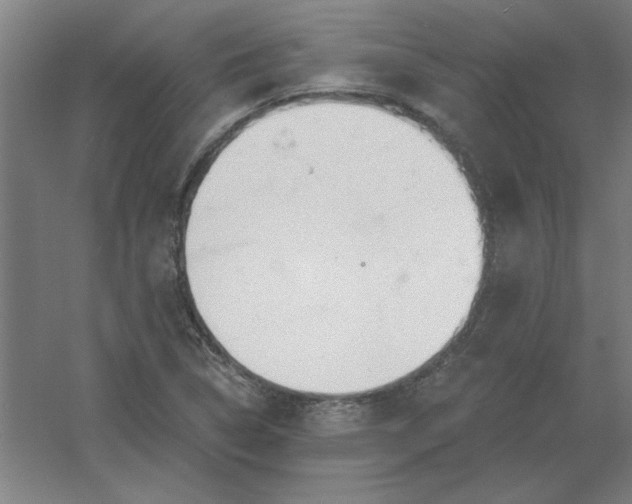 X0000054421314200508121741