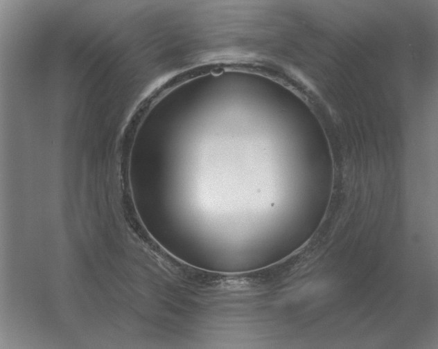 X0000054421315200508121741