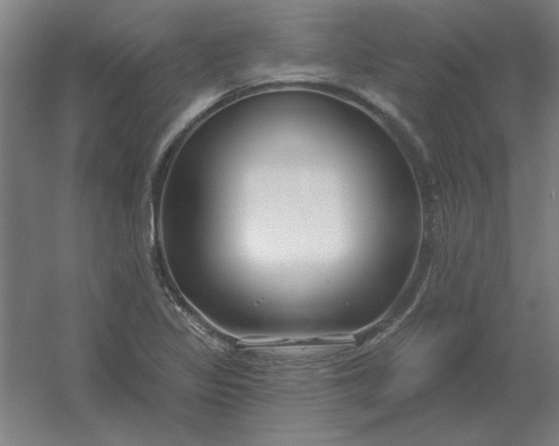 X0000054421317200508121741