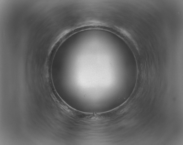 X0000054421318200508121741