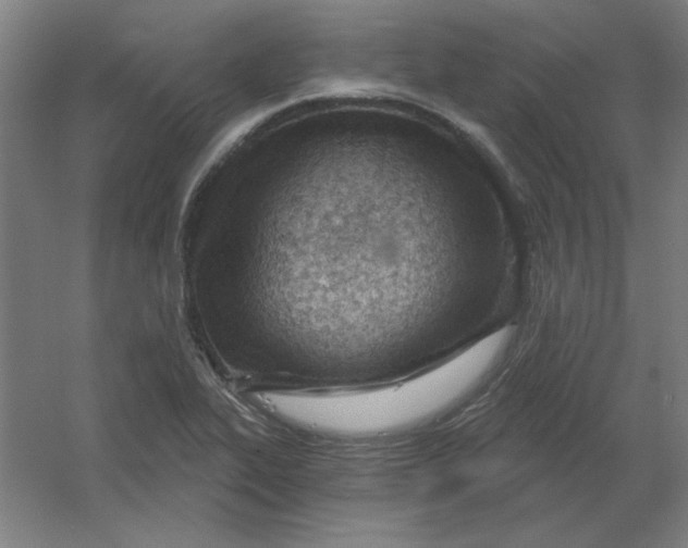 X0000054421319200508121741