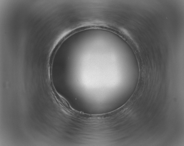 X0000054421320200508121741