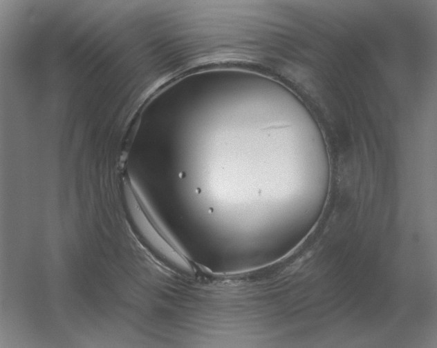 X0000054421321200508121741