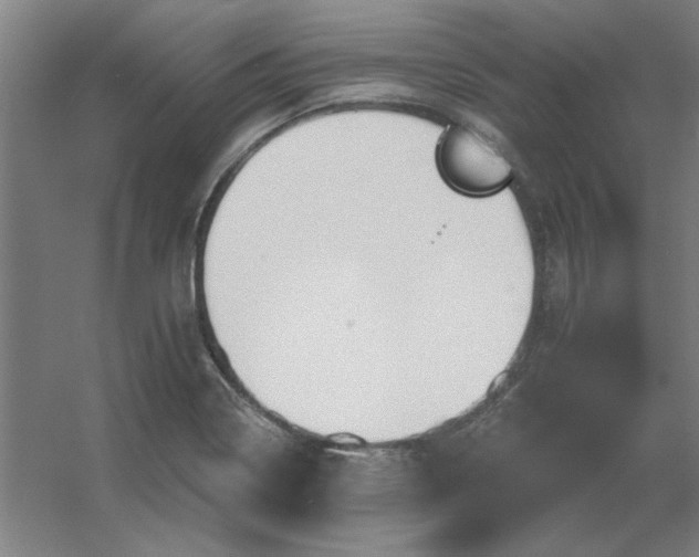 X0000054421322200508121741