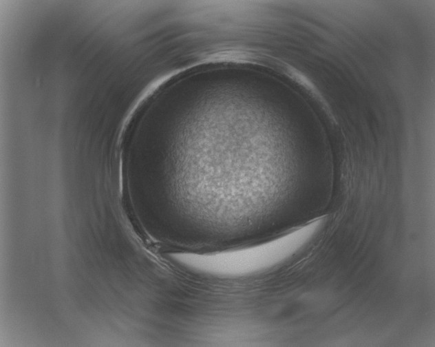 X0000054421323200508121741