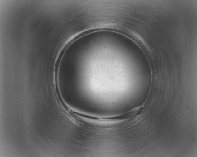 X0000054421324200508121741