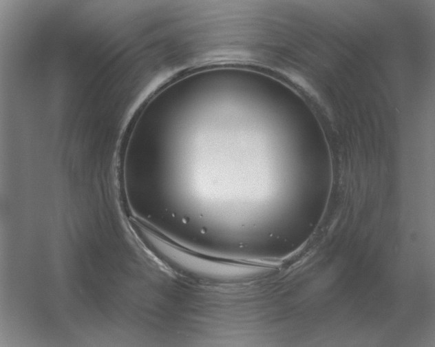 X0000054421325200508121741