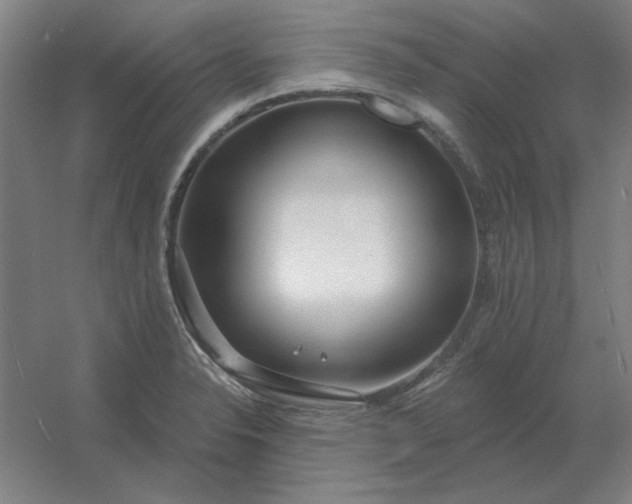 X0000054421326200508121741