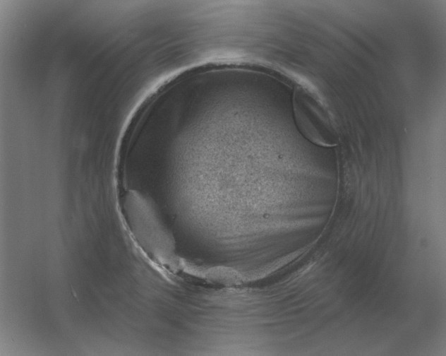 X0000054421327200508121741