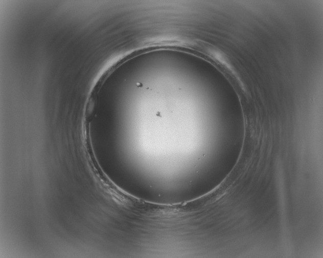 X0000054421328200508121741