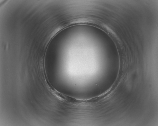 X0000054421329200508121741