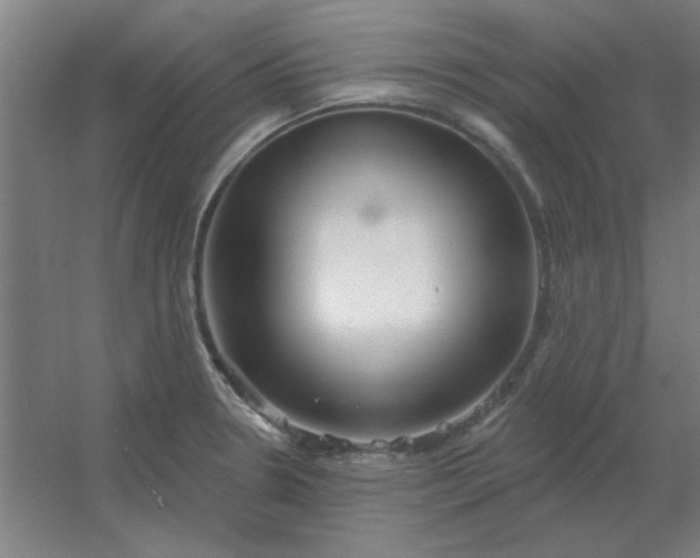 X0000054421330200508121741