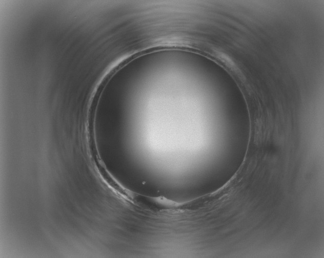 X0000054421331200508121741