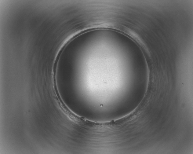 X0000054421332200508121741