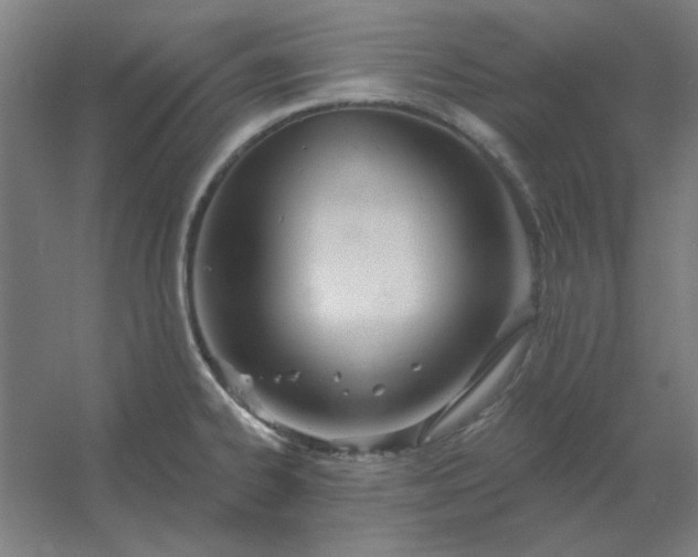 X0000054421334200508121741