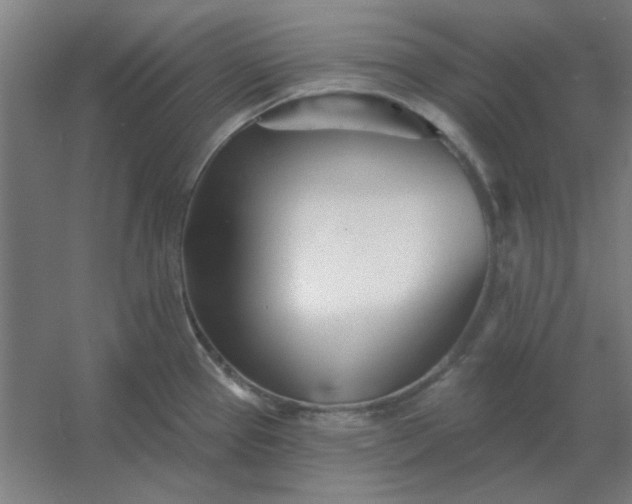 X0000054421337200508121741