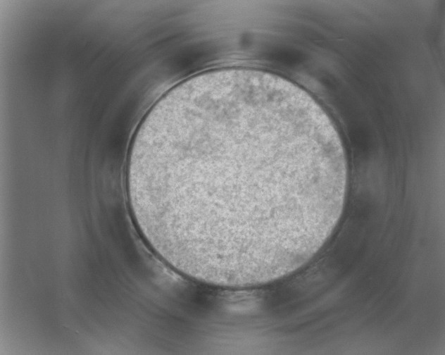 X0000054421338200508121741