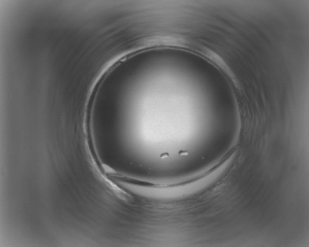 X0000054421339200508121741