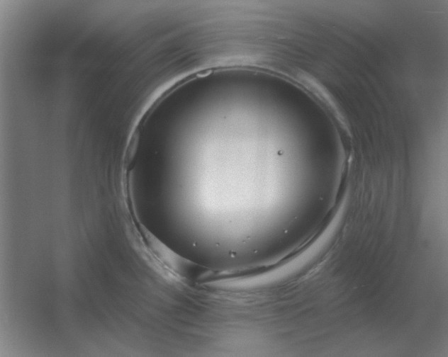 X0000054421340200508121741