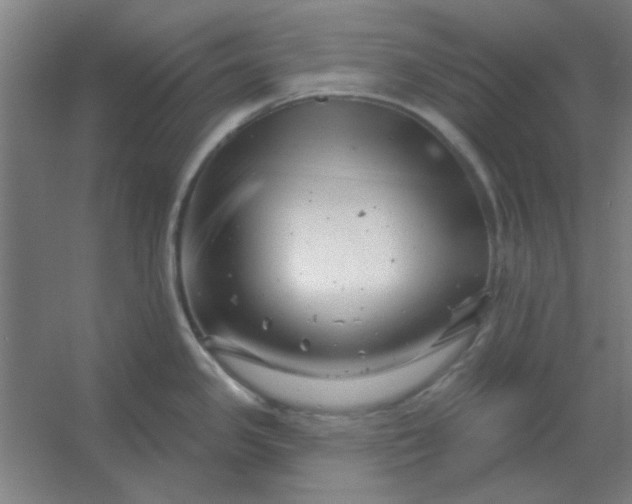 X0000054421341200508121741