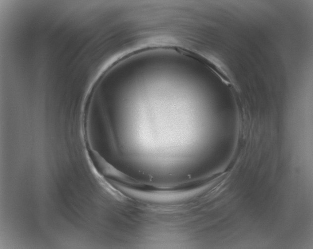 X0000054421342200508121741