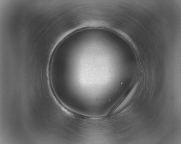 X0000054421343200508121741