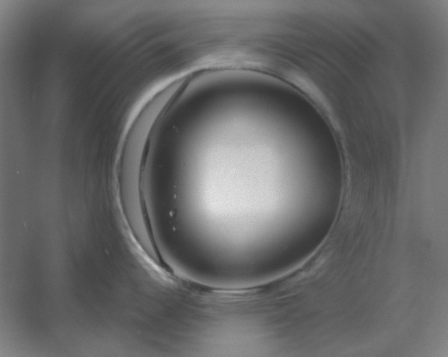 X0000054421344200508121741