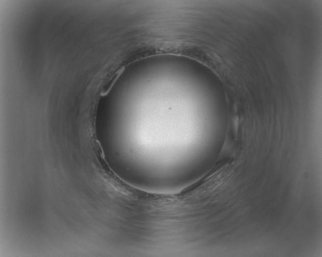 X0000054421345200508121741