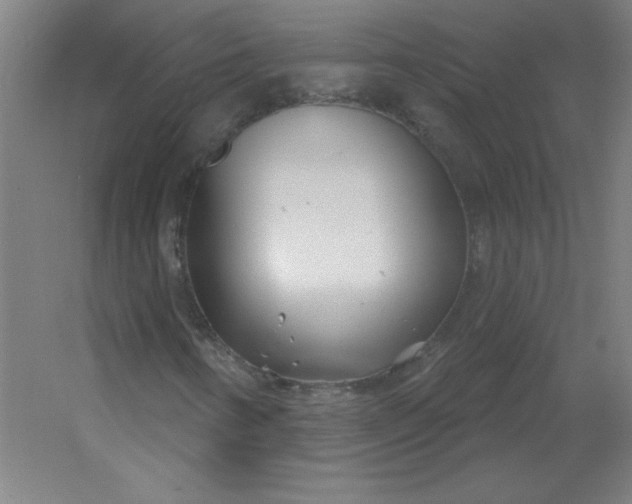 X0000054421346200508121741