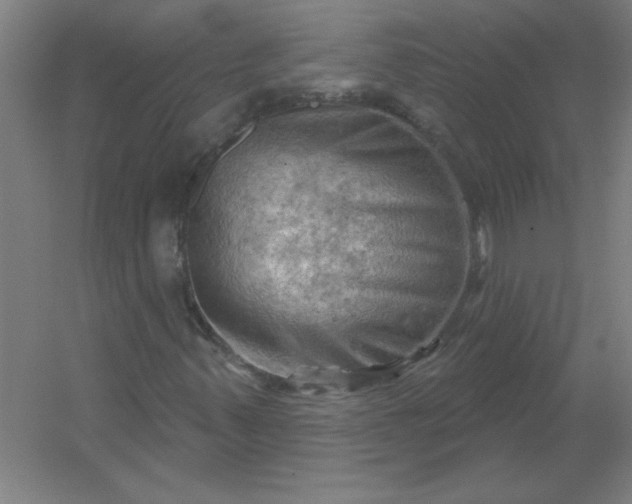 X0000054421347200508121741