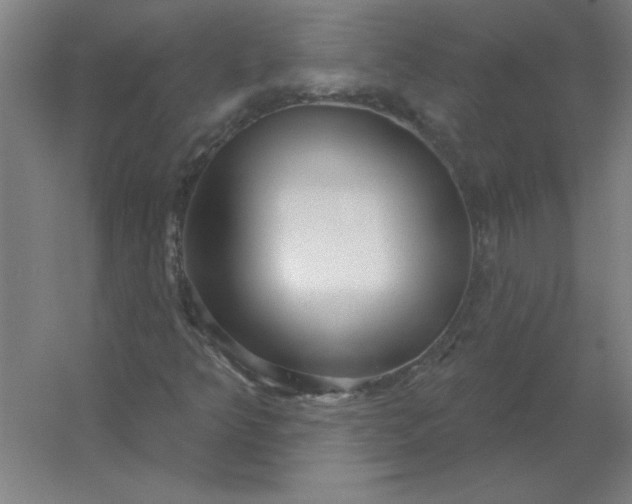 X0000054421349200508121741