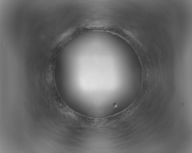 X0000054421350200508121740